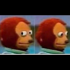 Meet your Posher, Hazel